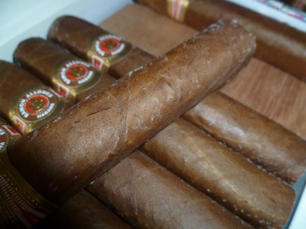 cigarbloom5.jpeg