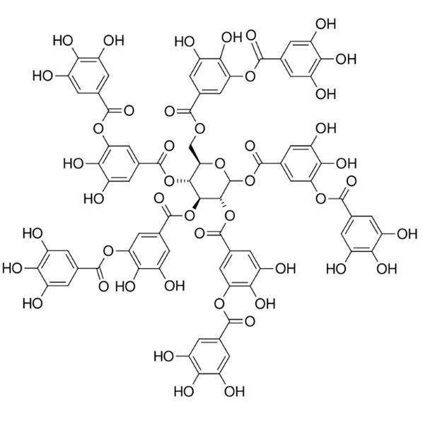 Bild6.png?ts=1725043457