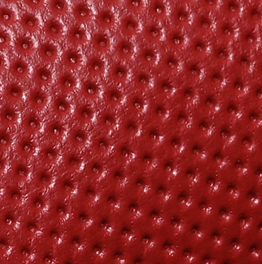saffiano rot